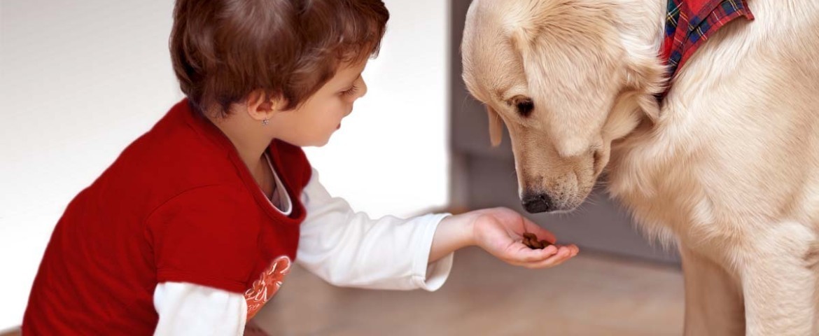 petit garçon nourrissant un chien