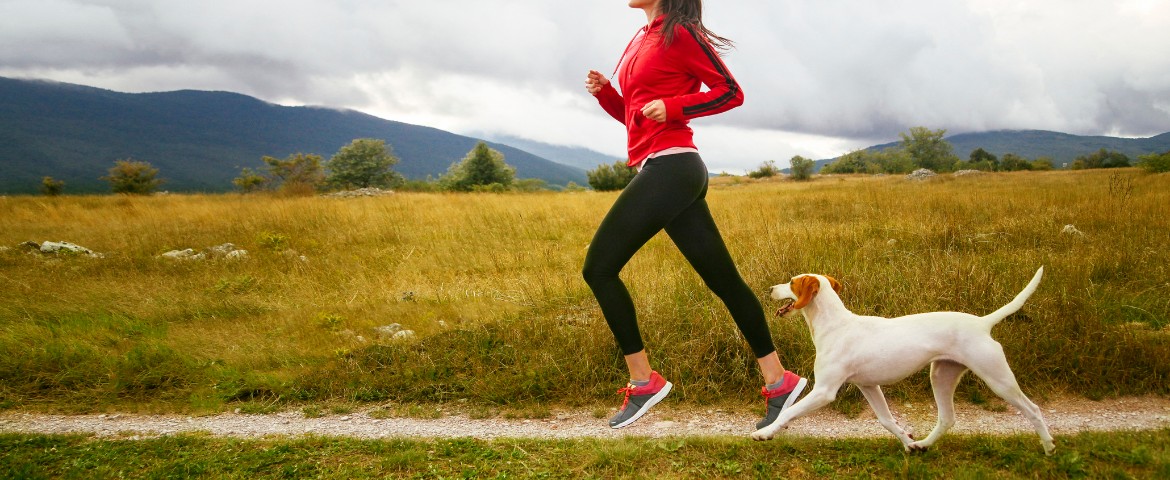  Courir avec votre chien 