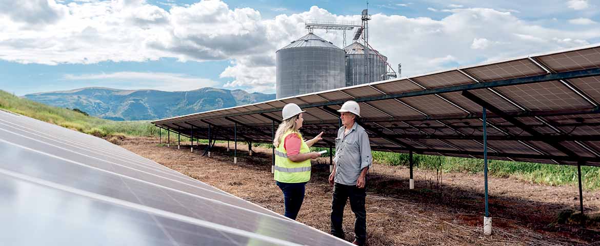 Installations agrivoltaïques